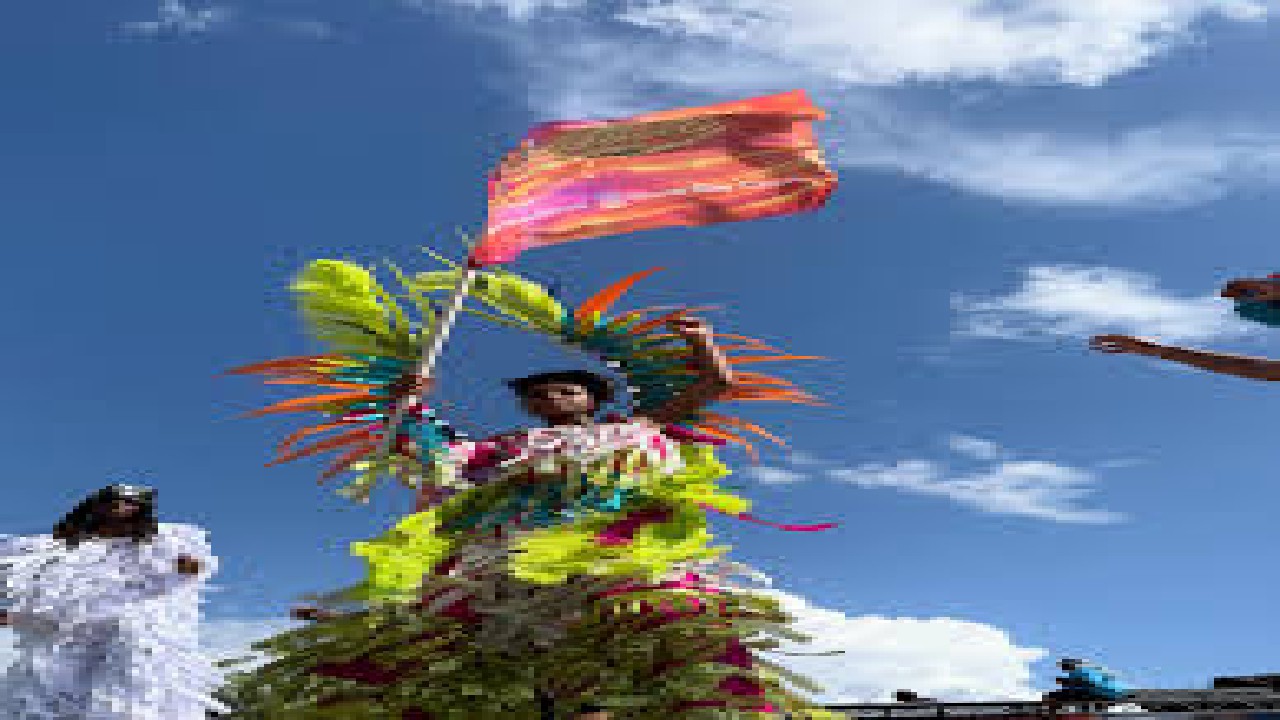 Orlando Family Cultural Carnival Parade