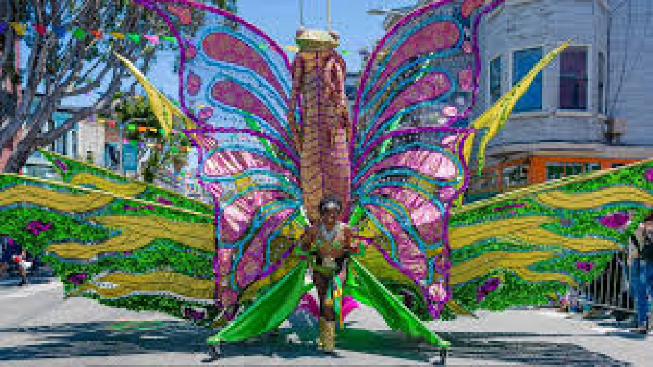 San Francisco Bay Cultural Carnival Fest