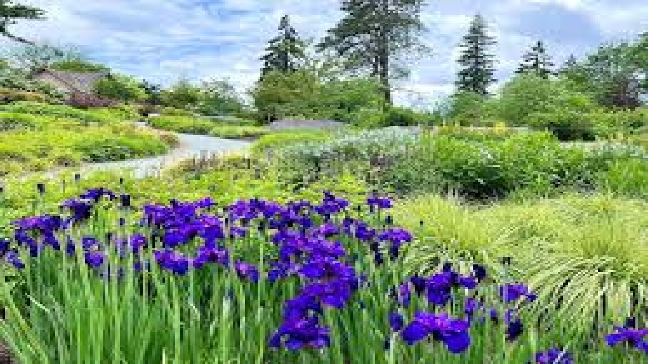 Seattle Spring Flower and Garden Festival